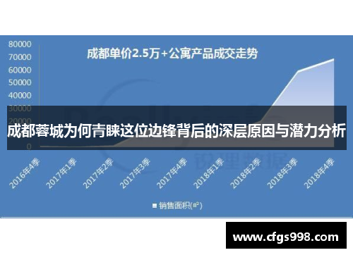 成都蓉城为何青睐这位边锋背后的深层原因与潜力分析
